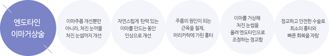 엔도타인 이마거상술 - 이마주름 개선뿐만 아니라, 처진 눈꺼풀 처진 눈썹까지 개선, 자연스럽게  탄력 있는 이마를 만드는 동안 인상으로 개선, 주름의 원인이 되는 근육을 절제, 머리카락에 가린 흉터, 이마를 거상해 처진 눈썹을 올려 엔도타인으로 조정하는 정교함, 정교하고 안전한 수술로 최소의 흉터와 빠른 회복을 자랑