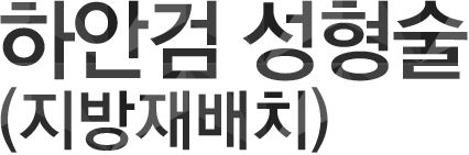 하안검 성형술(지방재배치)